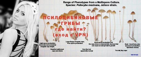 ALPHA PVP Вяземский